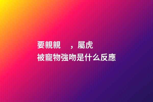要親親，屬虎被寵物強吻是什么反應